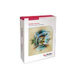 MCAFEE ePolicy Orchestrator 3.0(101-250User)