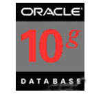 ORACLE 10g(ҵ 25user)
