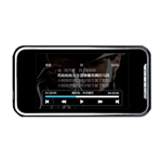 VX747(4GB)
