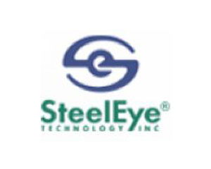 SteelEye Lifekeeper for Linux v 5.1ͼƬ