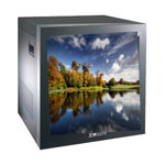TCL MC21P