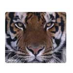 Allsop Naturesmart Mousepad Tiger