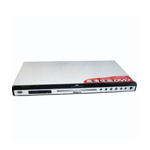 ¿DVR-2008
