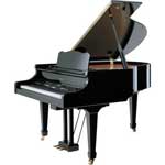 (Roland) KR-117M 