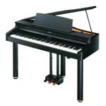 (Roland) RG-1 
