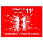 ORACLE 11g ҵ