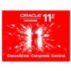 ORACLE 11g 标准版