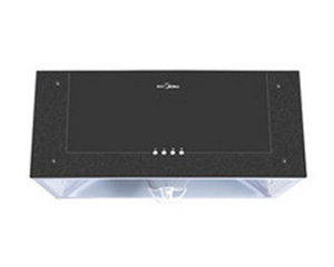 CXW-180-DS20ͼƬ